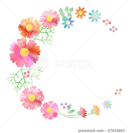 Cosmos _ watercolor wreath frame 67828665