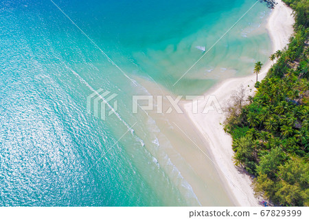 Tropical island with green tree forest white snad Tropical island with green tree forest white snad 67829399