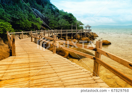 Wood brige,Wooden pier Wood brige,Wooden pier 67829768