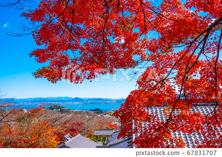 Autumn leaves of Saikyoji 67831707