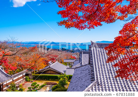 Autumn leaves of Saikyoji 67831888