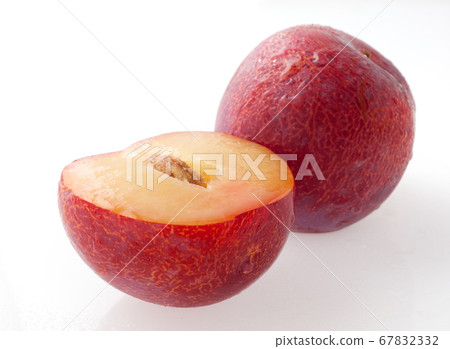 Plum 67832332