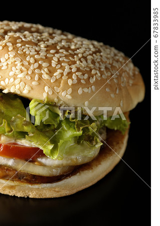 Single Teriyaki burger shot against a black background 67833985