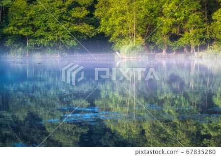 Torinuma Park Early morning mist and reflection 67835280