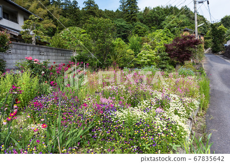 A relaxing walk in front of the house, Matsue City A relaxing walk in front of the house, Matsue City 67835642