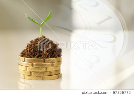 Small young plant sprout on stack of golden coins with clock background. Business, finance, money savings and investment concept. 67836773