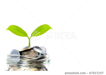 Green plant sprout on jar, full of Japanese yen coins on white background. Finance, savings and investment concept. Green plant sprout on jar, full of Japanese yen coins on white background. Finance, savings and investment concept. 67837247