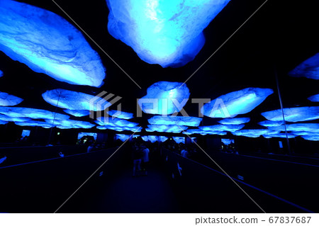 海遊館北極圈 67837687