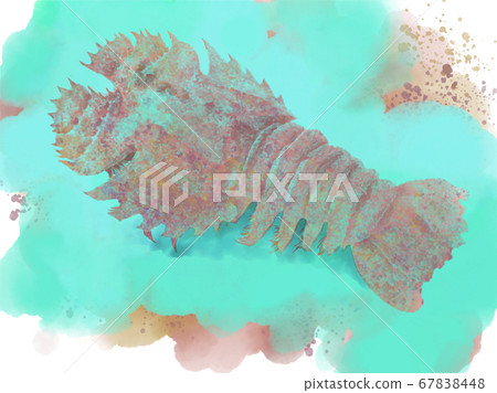 Illustration of colorful shrimp Illustration of colorful shrimp 67838448