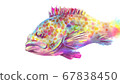 Illustration of a colorful pheasant grouper 67838450