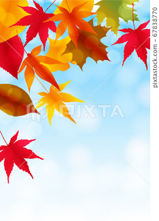  Autumn leaves maple autumn background 67838770