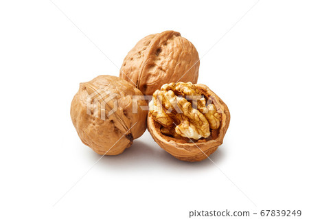 Walnut Walnut 67839249