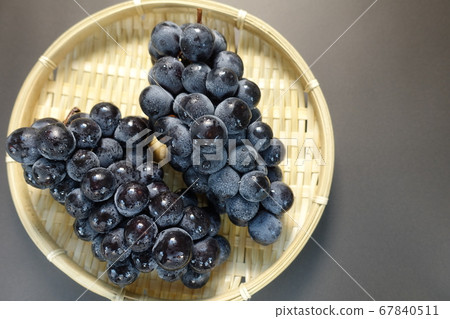 Grapes grapes 67840511