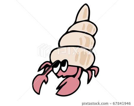 Hermit crab illustration Hermit crab illustration 67841946