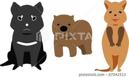 澳大利亞稀有生物塔斯馬尼亞惡魔，袋熊和嘎嘎小袋鼠 67842512