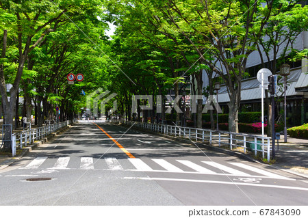 Fresh green business district Fresh green business district 67843090