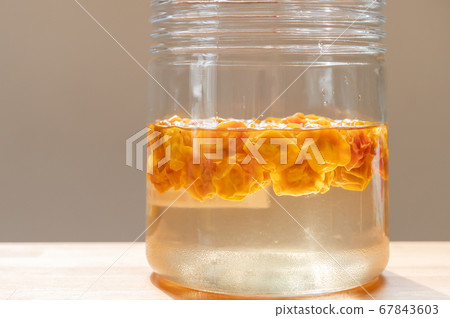 金梅糖漿(1個月後) 金梅糖漿(1個月後) 67843603