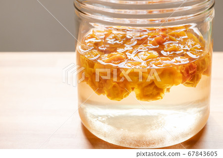 金梅糖漿(1個月後) 金梅糖漿(1個月後) 67843605