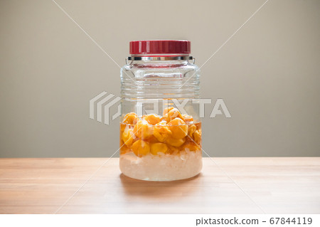 金梅糖漿(2週後) 金梅糖漿(2週後) 67844119