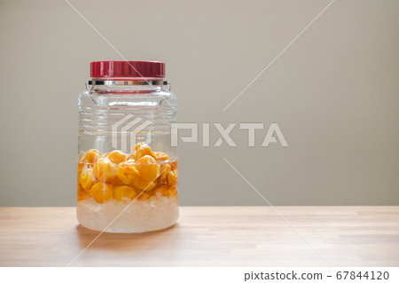 金梅糖漿(2週後) 金梅糖漿(2週後) 67844120