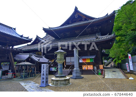 Hastoera,大和寺的花壇 Hastoera,大和寺的花壇 67844640