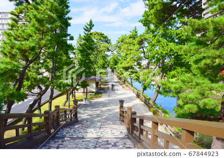 創價松原(Sa玉縣創價市) 創價松原(Sa玉縣創價市) 67844923