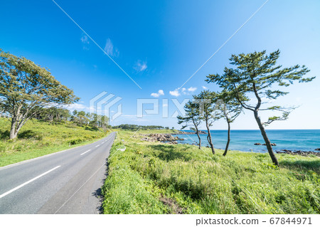 成為青森縣八戶市田上海岸海岸開木東山的“道路”的主題的風景 67844971