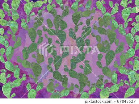 Cactus background material watercolor succulents retro purple frame Cactus background material watercolor succulents retro purple frame 67845527