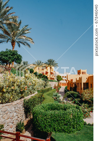 Luxury holiday villa with palm tree Luxury holiday villa with palm tree 67846040