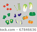 Vegetables 67846636