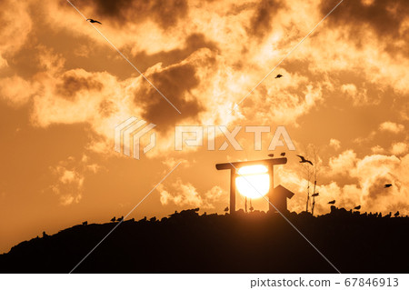 Sunset and Torii Torii Sunset and Torii Torii 67846913