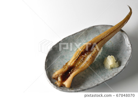 少數烤鰻魚送達一盤(白色背景) 少數烤鰻魚送達一盤(白色背景) 67848070