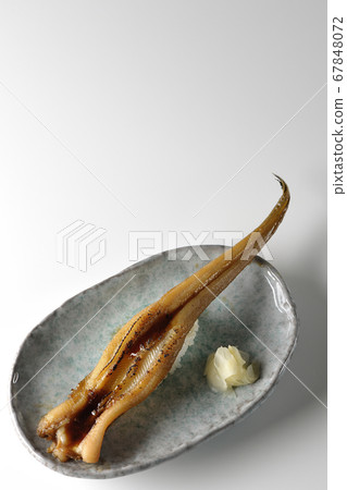 A handful of grilled conger eel served on a plate (white background) A handful of grilled conger eel served on a plate (white background) 67848072