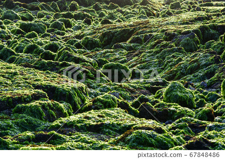 Blue, Hyeopjae Beach, Hyeopjae Beach, Jeju City, Jeju Island, Korea Blue, Hyeopjae Beach, Hyeopjae Beach, Jeju City, Jeju Island, Korea 67848486