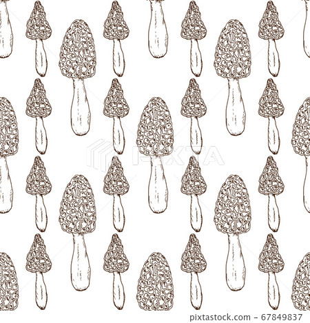 Seamless pattern with morel mushroom Seamless pattern with morel mushroom 67849837