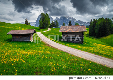 Seiser Alm resort and flowery fields with high mountains, Italy 67850154