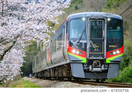 2700 series limited express "Nanpu" and cherry blossoms (JR Shikoku) 67850756