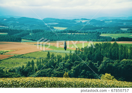 直到山 直到山 67850757