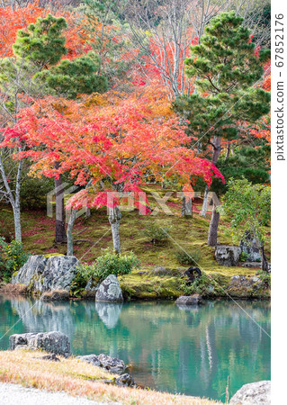 colorful leaves garden and pond inside Tenryuji colorful leaves garden and pond inside Tenryuji 67852176