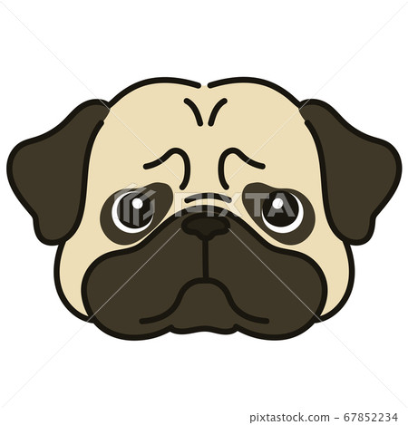 可愛的哈巴狗臉與主線的插圖 67852234