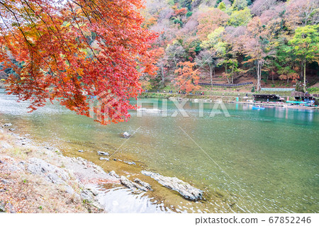 colorful leaves mountains and Katsura river in 67852246
