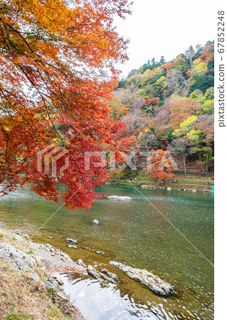 colorful leaves mountains and Katsura river in colorful leaves mountains and Katsura river in 67852248