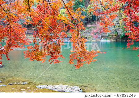 colorful leaves mountains and Katsura river in colorful leaves mountains and Katsura river in 67852249