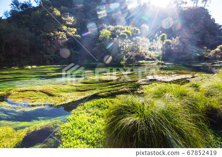 Blue spring Blue spring 67852419