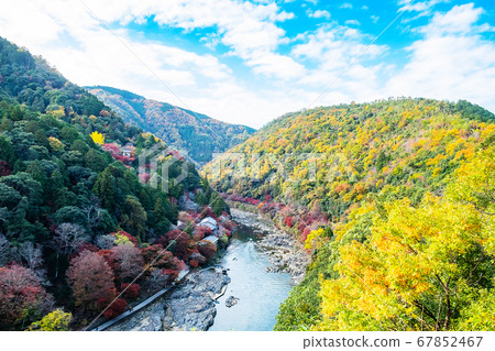 colorful leaves mountains and Katsura river in 67852467