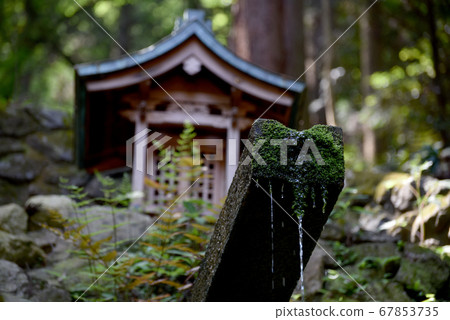 狸山山夫藤清水 67853735