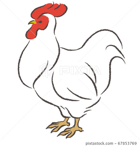Illustration of a standing chicken Illustration of a standing chicken 67853769