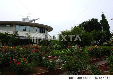 路站Meguma Agri Park玫瑰園 67853818