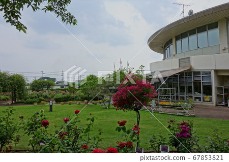 Road Station Meguma Agri Park Rose Garden 67853821