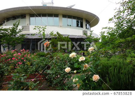 Road Station Meguma Agri Park Rose Garden 67853828